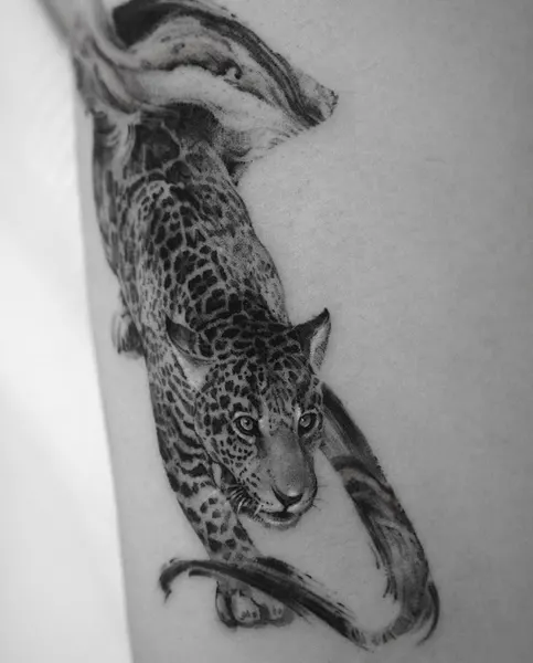 표범, 치타, 재규어, Animal