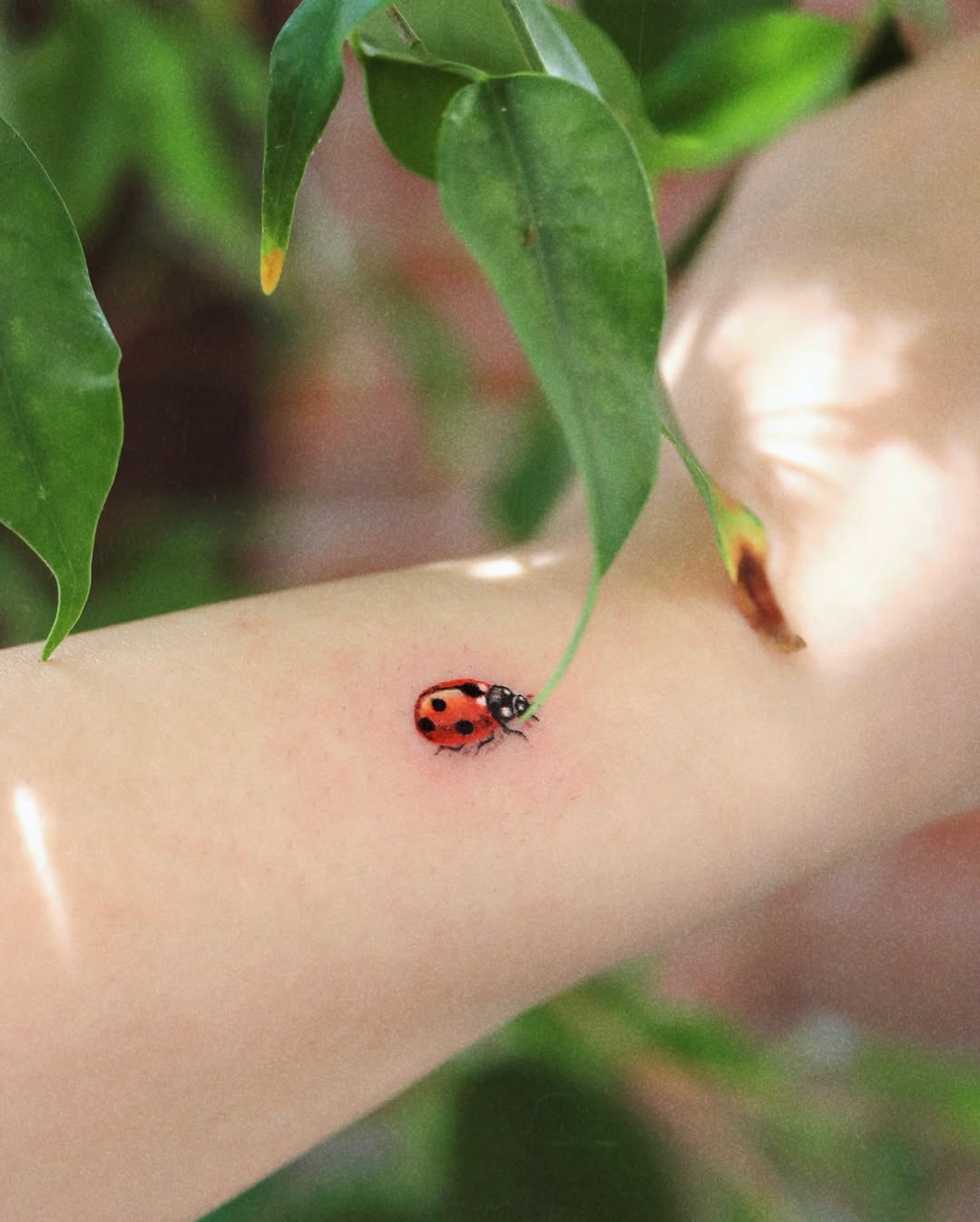Flower, Mini