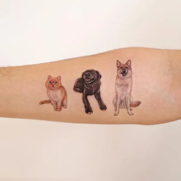 Animal