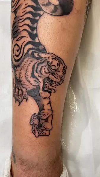 Tiger, Animal