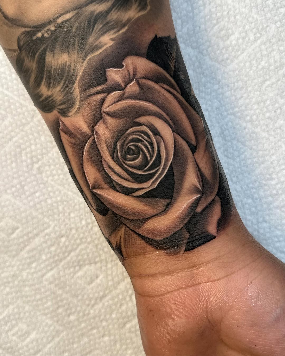 Flower, Rose