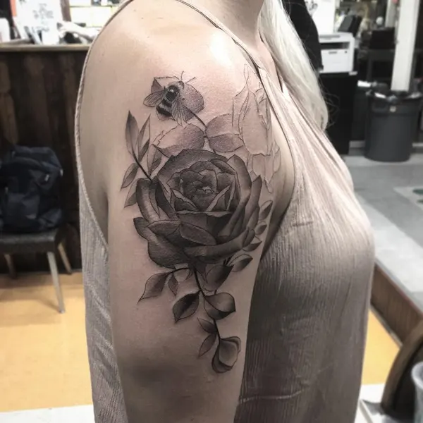 Flower, Rose, Nature