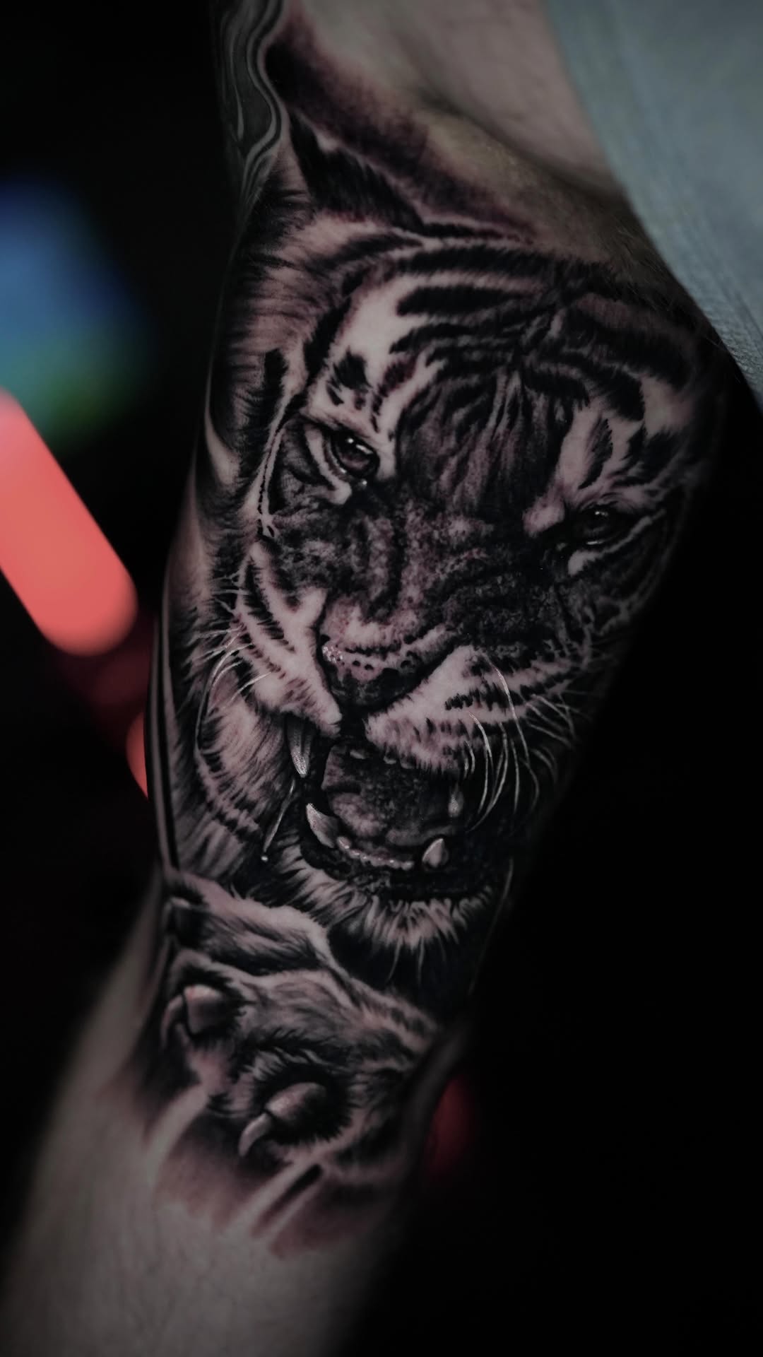 Tiger