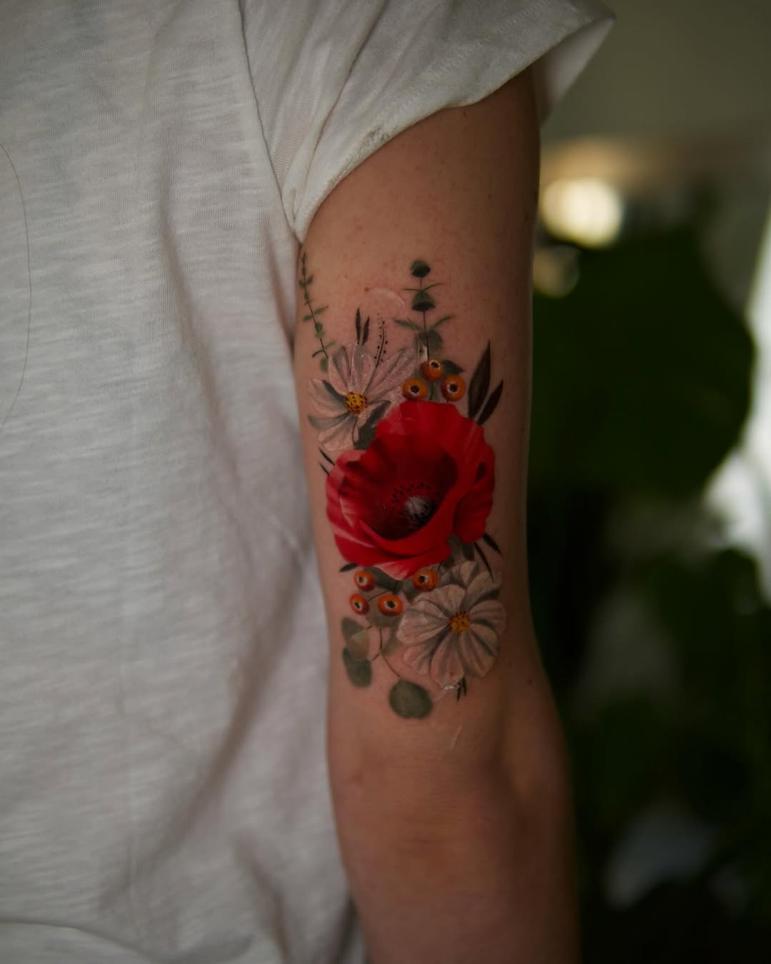 Flower, Nature, Rose