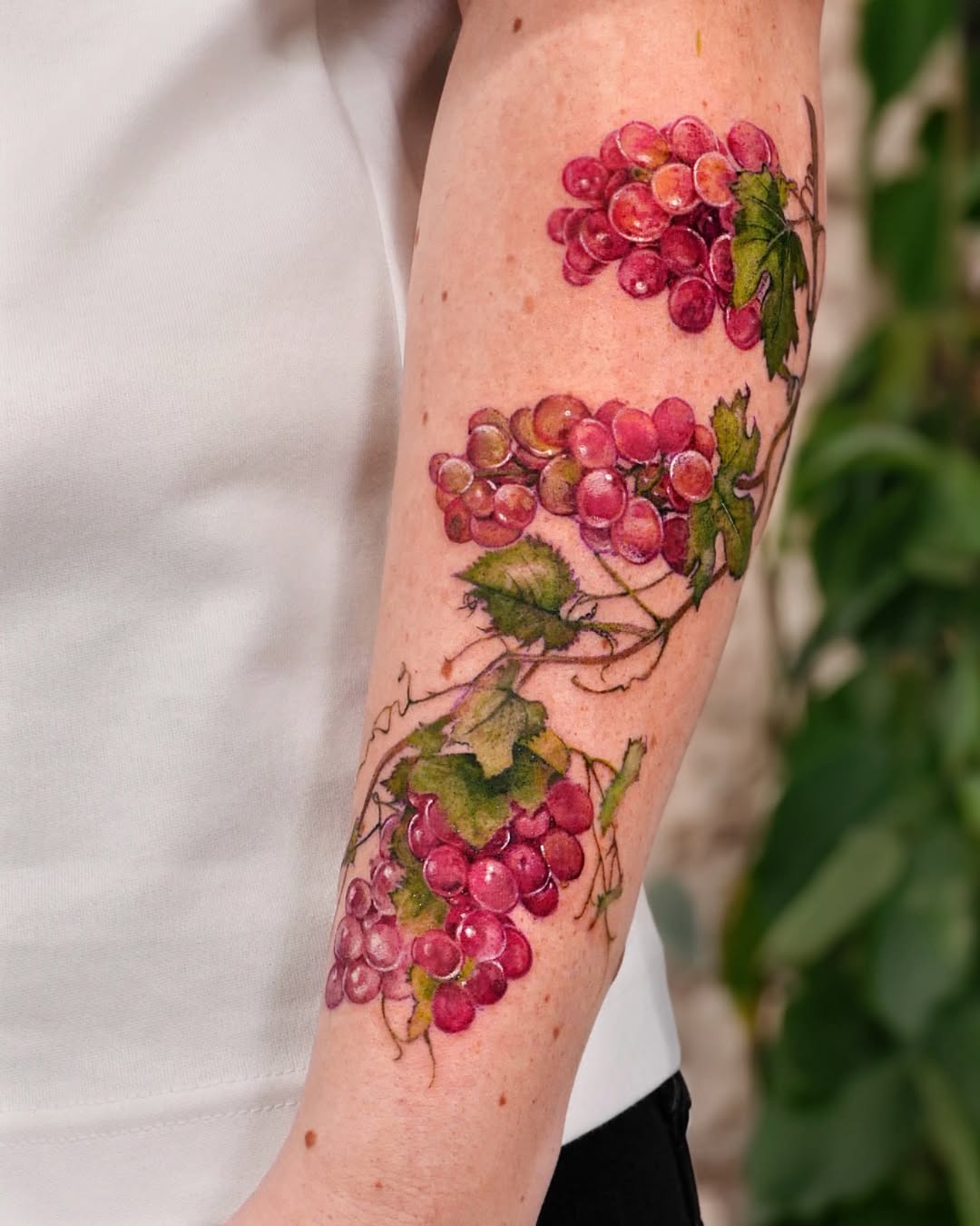 Flower, Rose, 포도