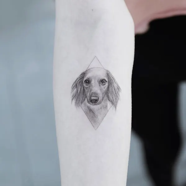 Animal
