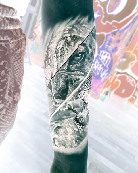 Tiger, Animal