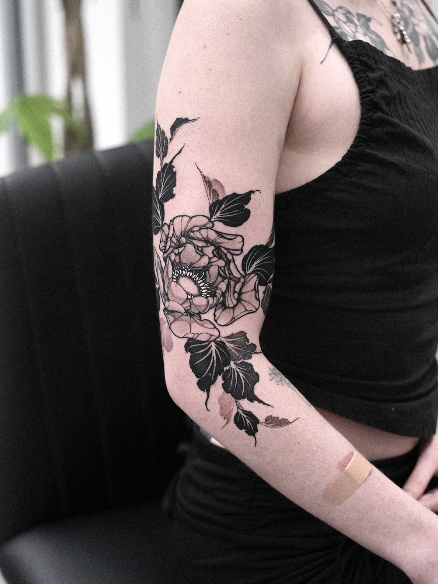 Flower, Rose, Nature