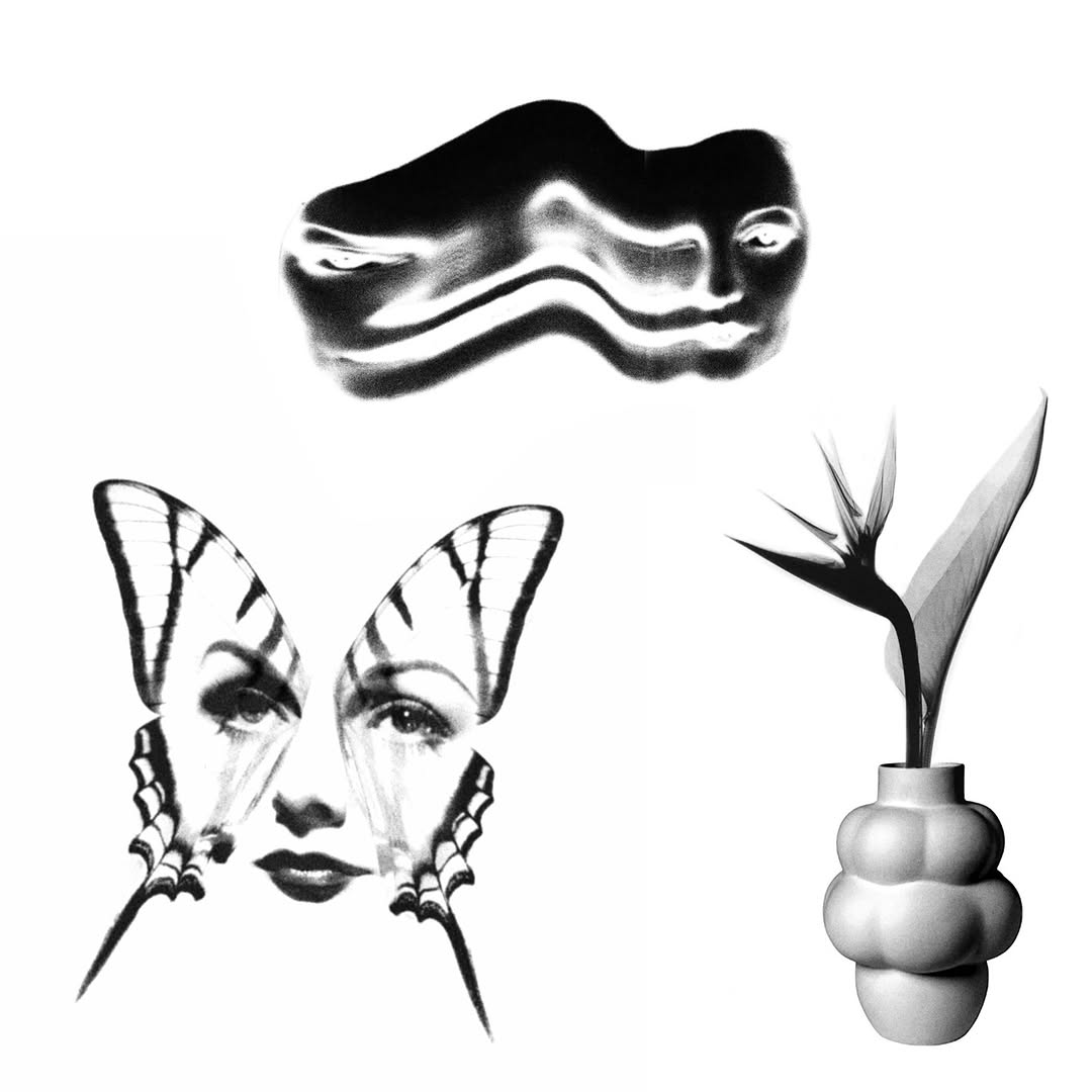 plantsnpokes