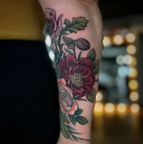 Flower, Rose, Nature