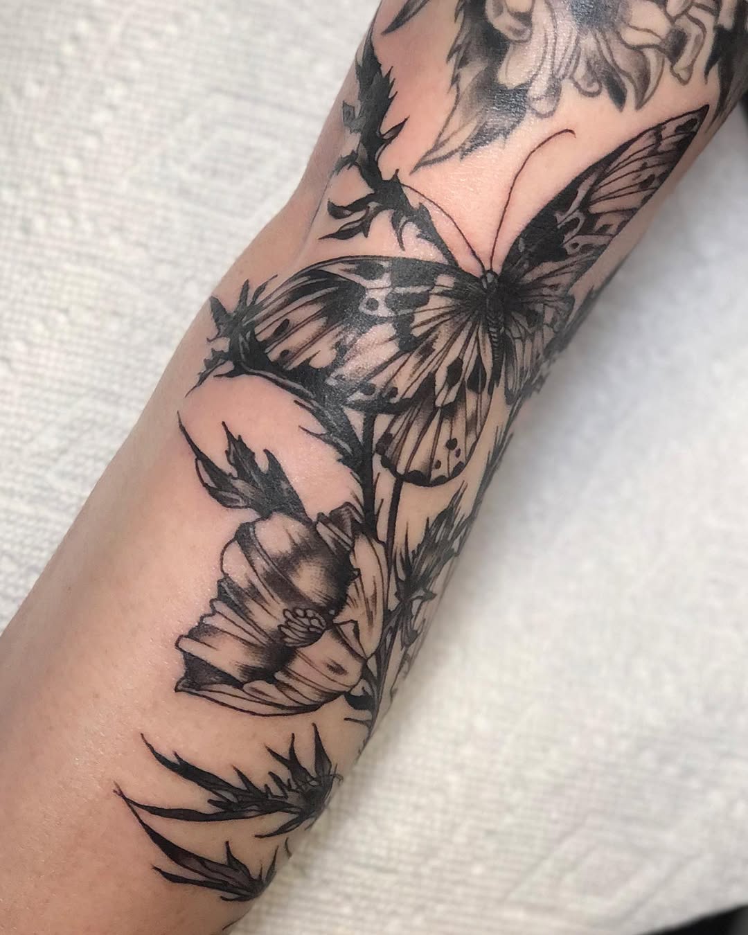 elliejoliv