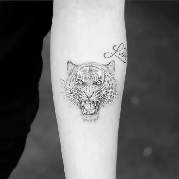 Tiger