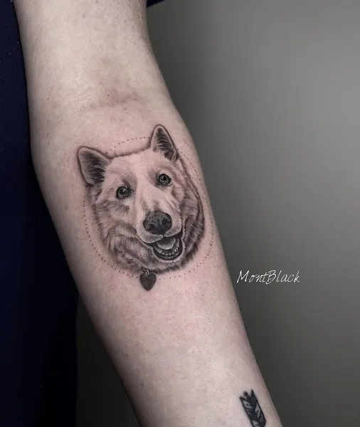 Animal