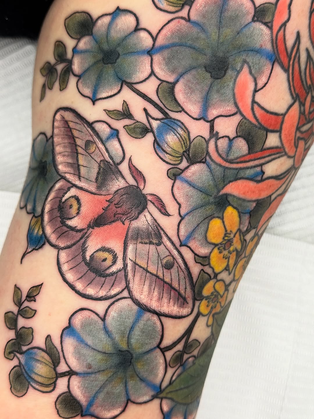 Animal, Nature, Flower