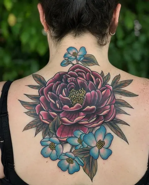 Flower, Rose, Nature