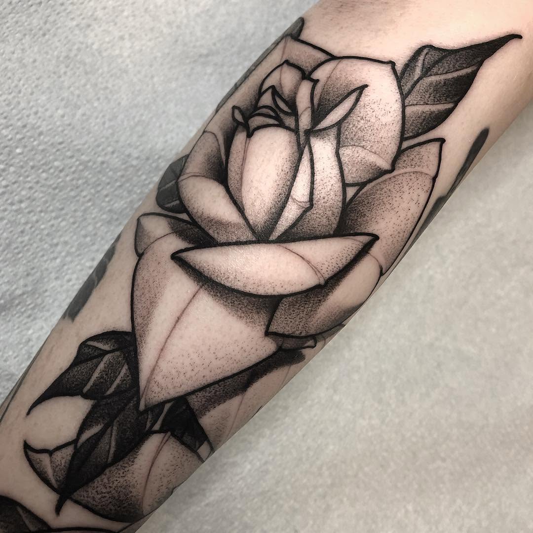 Flower, Rose