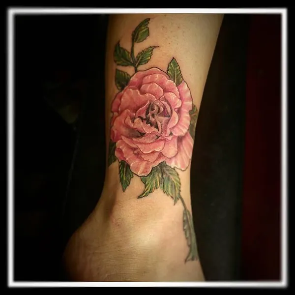Flower, Rose