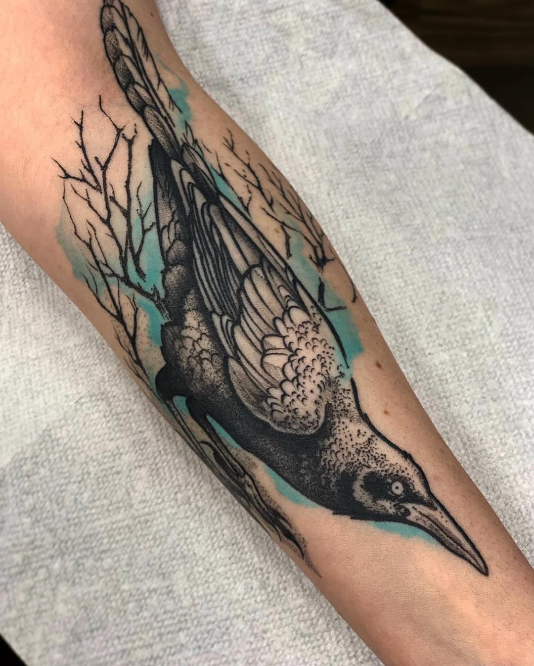Animal