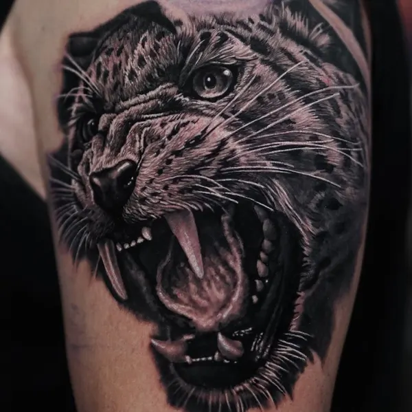 Animal, Tiger