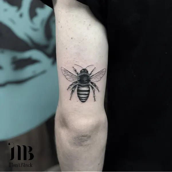 Animal, 벌