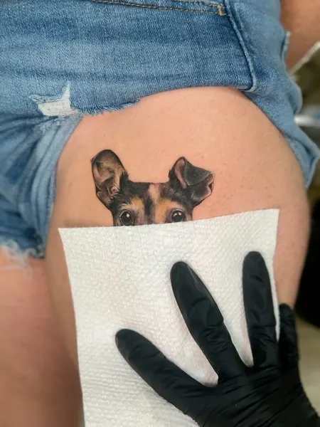 Animal