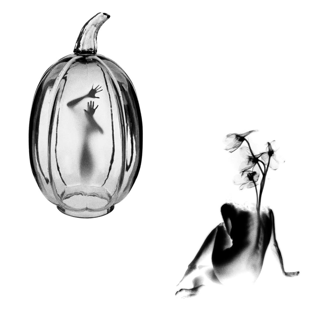 plantsnpokes