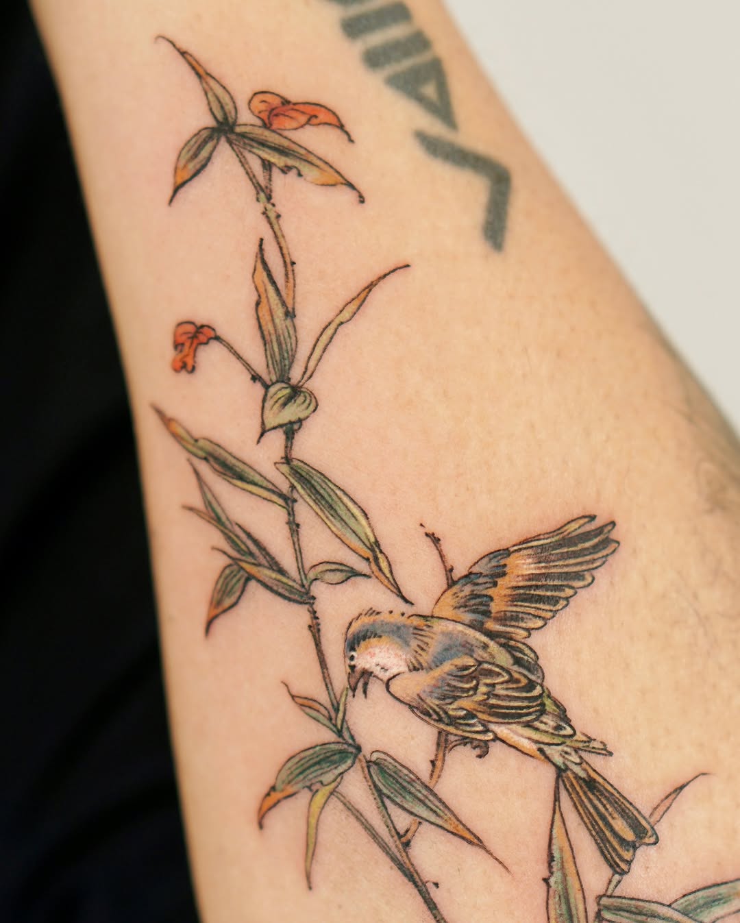 Flower, Animal