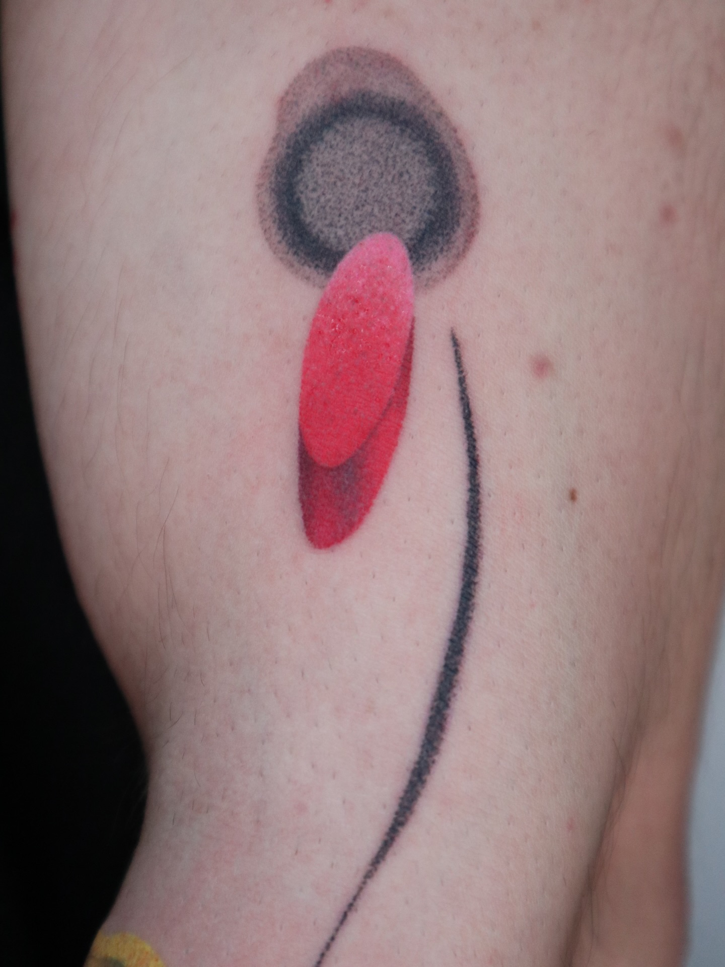 blekanddots