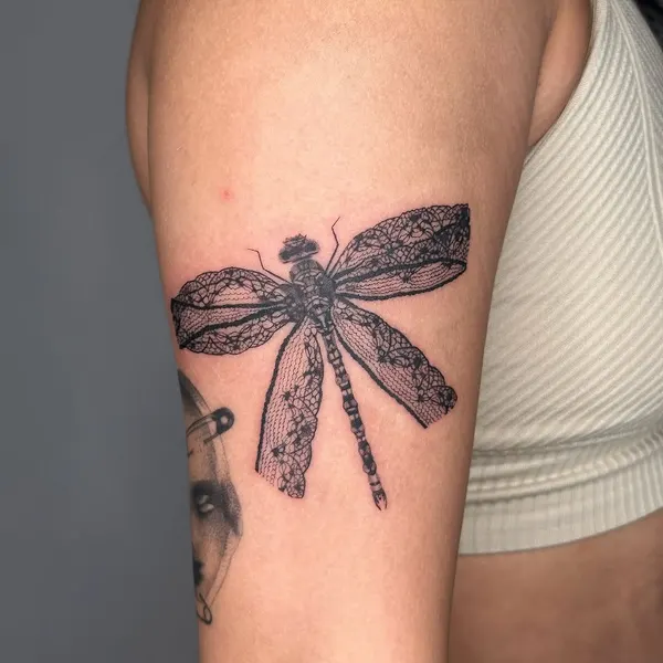 Animal, Nature, 잠자리, 매미