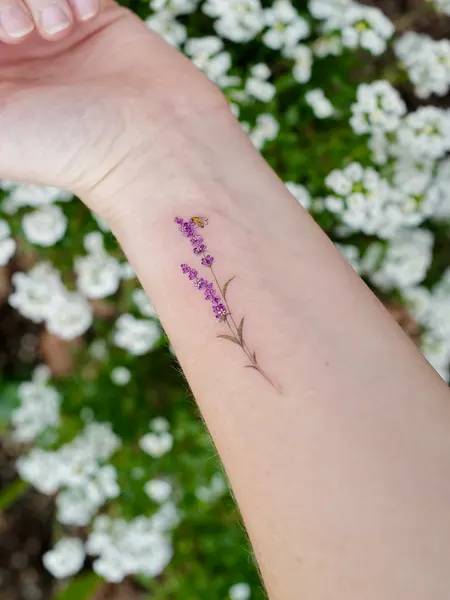 Animal, Nature