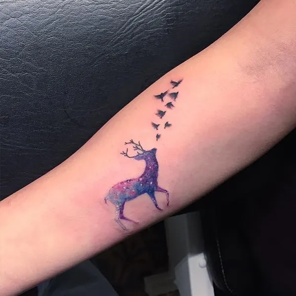 equilattera