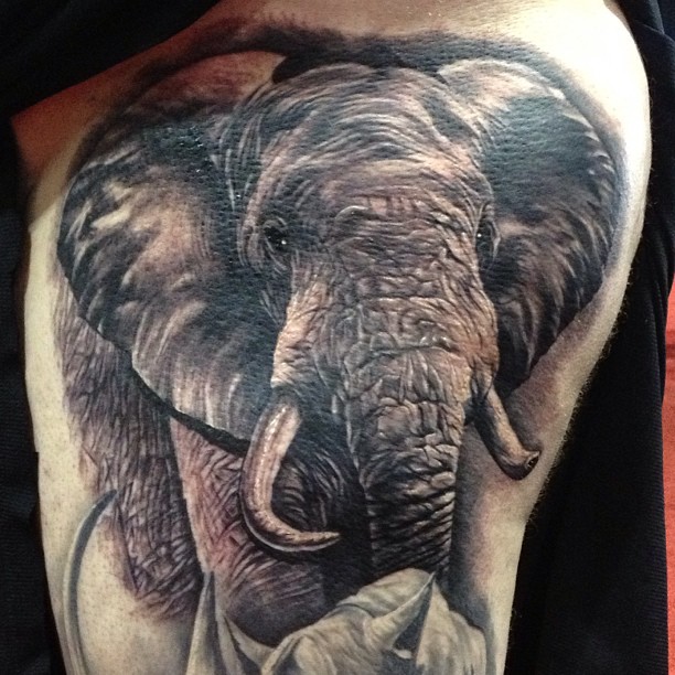 Flower, 코끼리