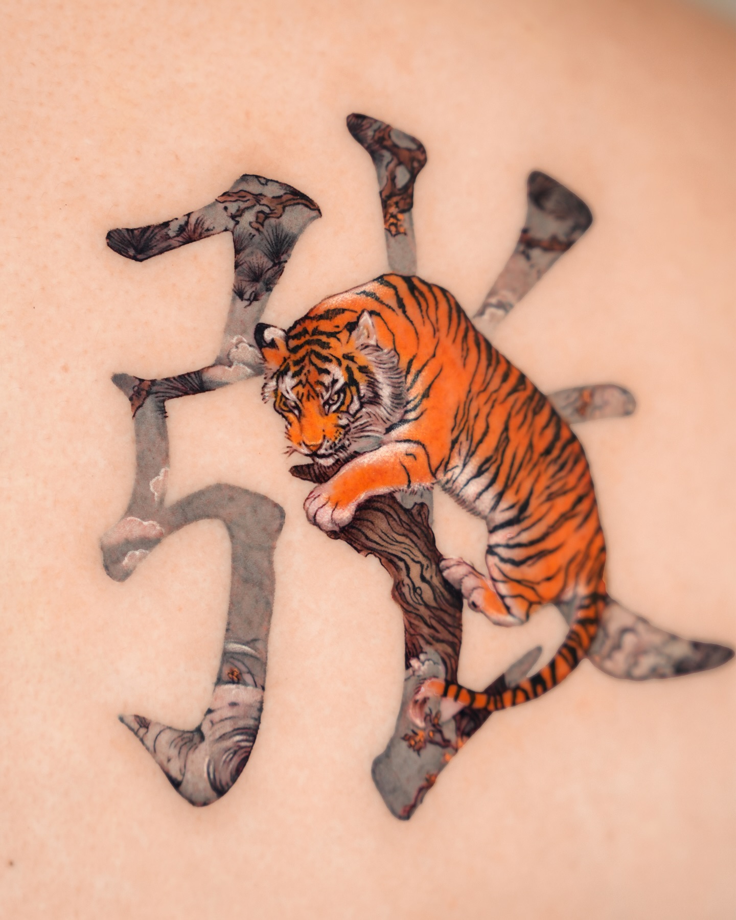 Tiger