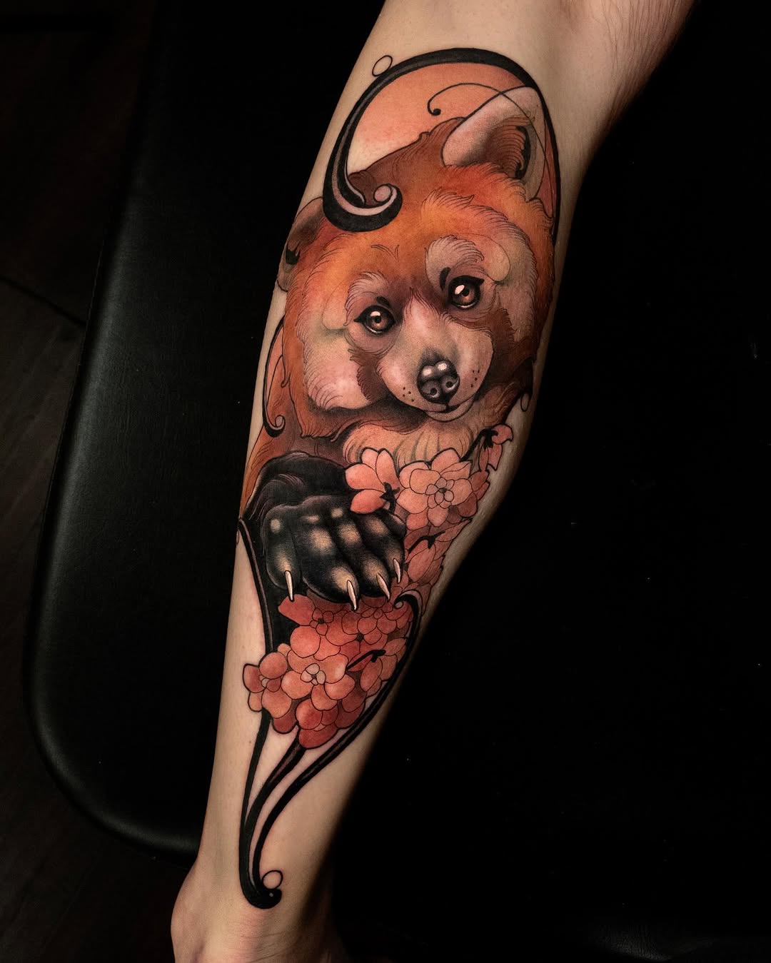 Animal, 곰