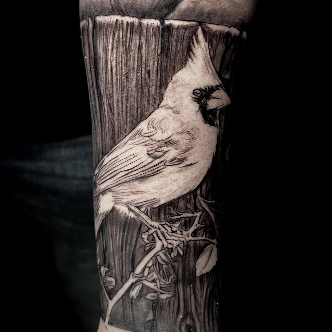Flower, Animal, Nature