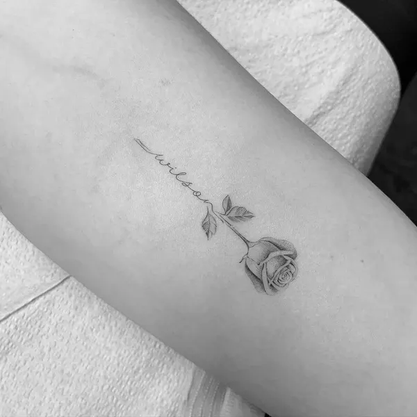 mnsantanatattoo