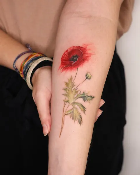 Flower, 양귀비