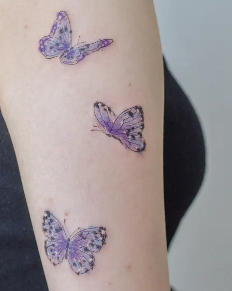 Animal, Nature, 나비