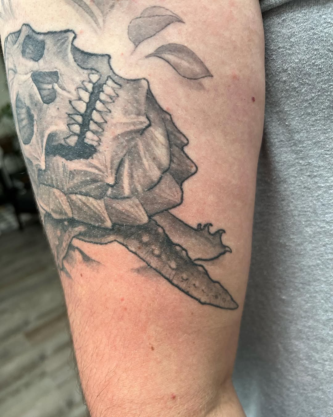 shawn_hebrank