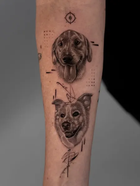 Animal