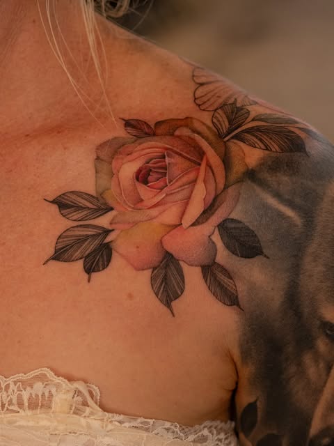 Flower, Rose