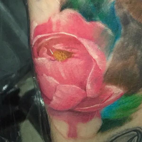 Flower, Rose