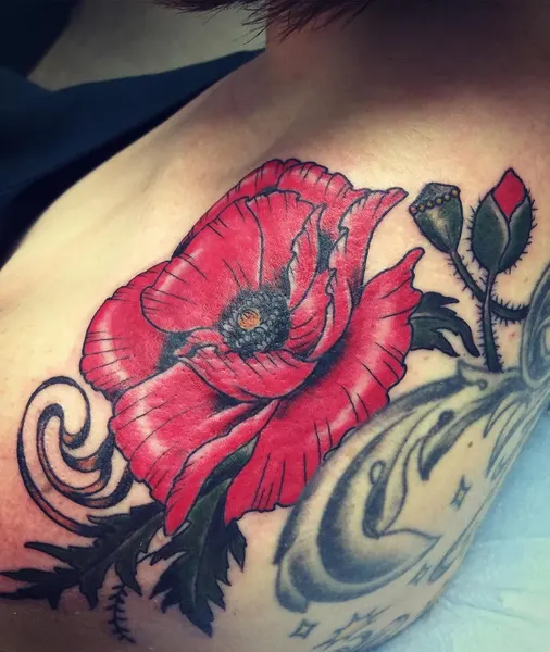 Flower, Rose
