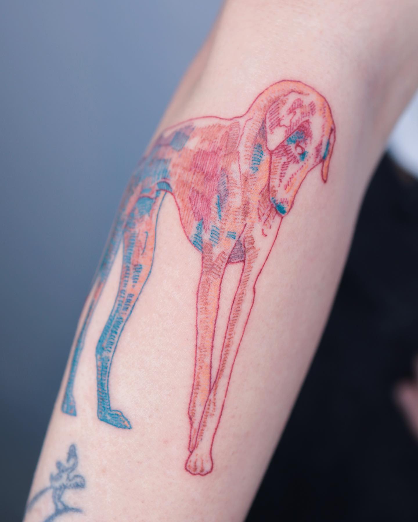 davide.damato.tattoo