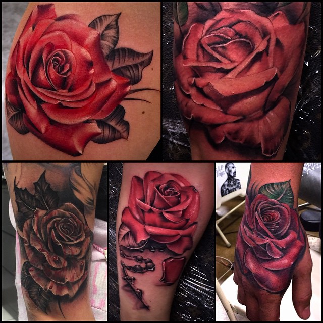 Flower, Rose
