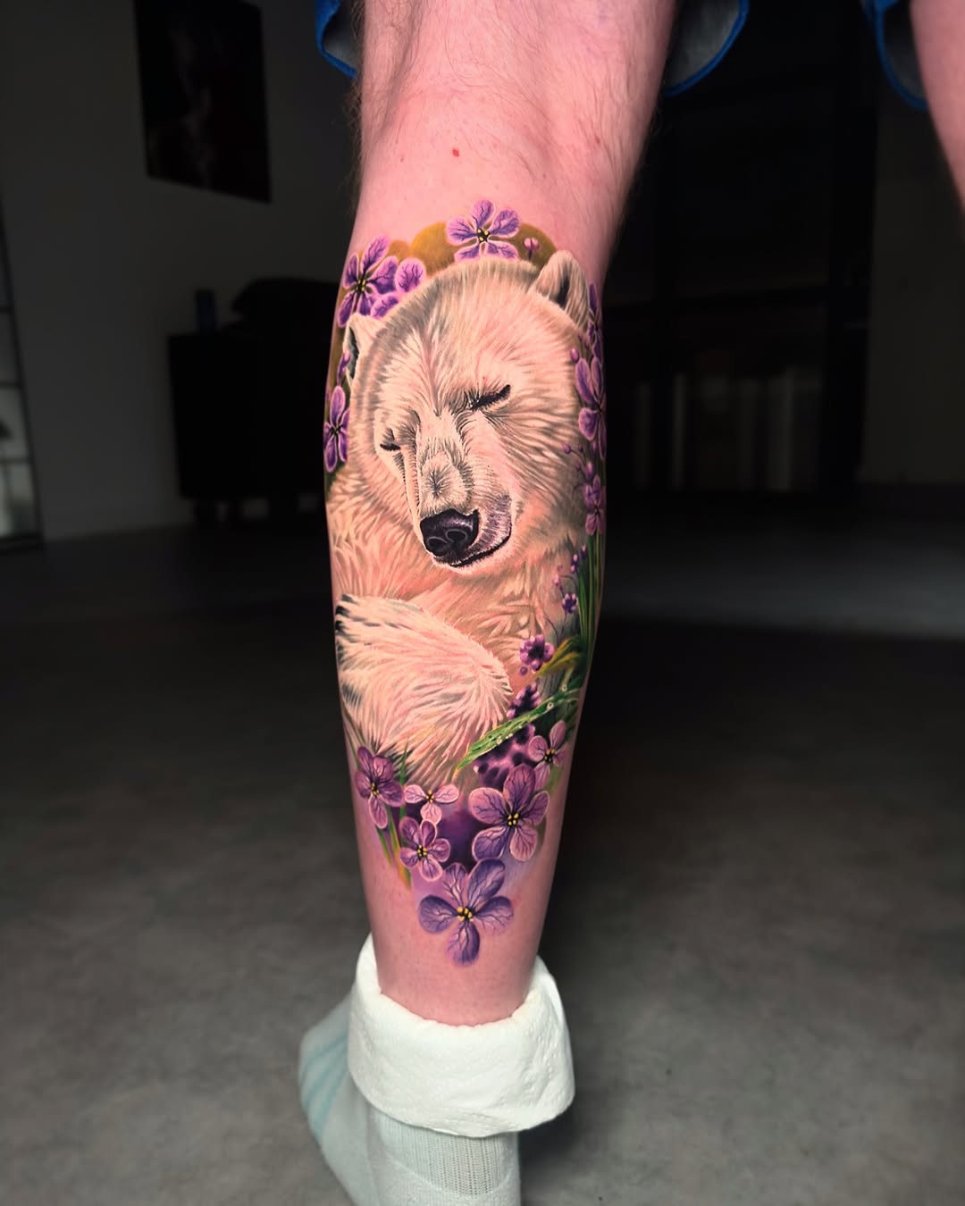 Animal