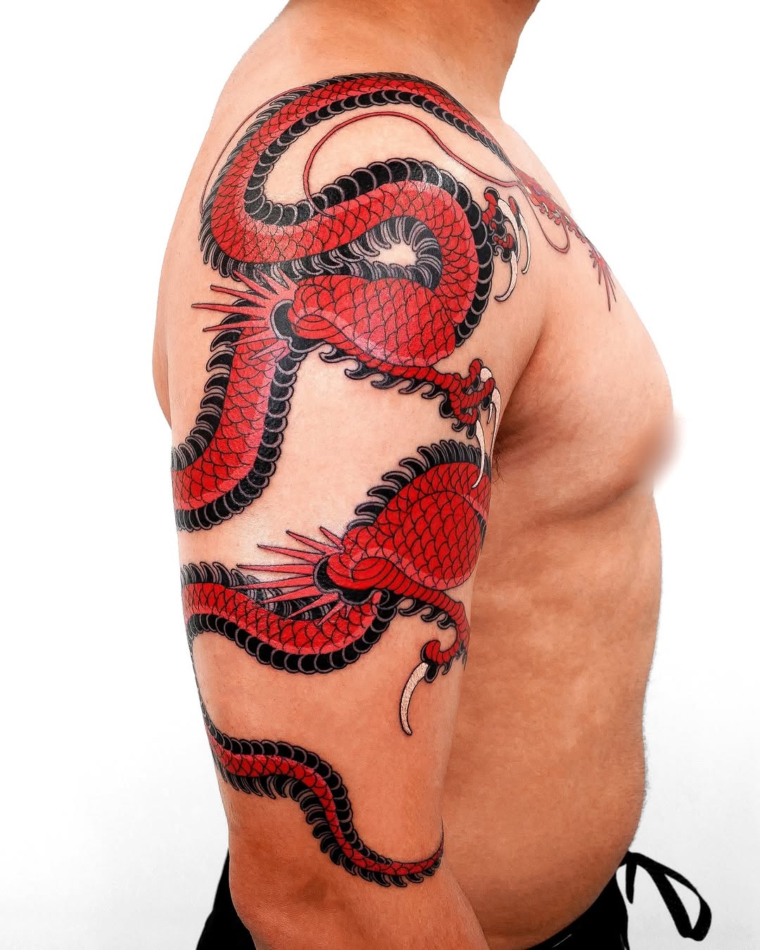 nobodytattoo