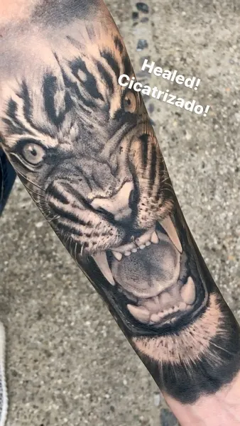 Tiger