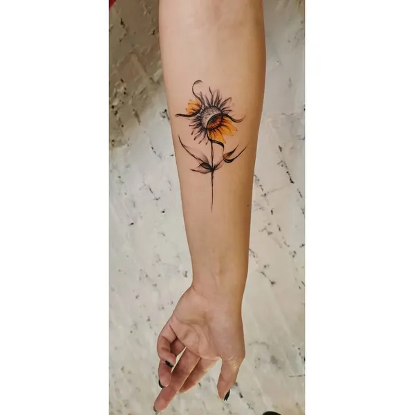 Flower, 해바라기, 데이지