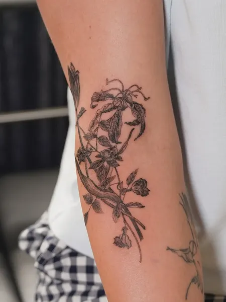 Flower, Rose